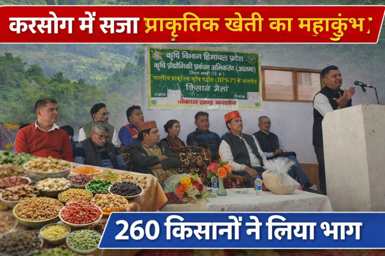 करसोग में सजा प्राकृतिक खेती का महाकुंभ, 260 किसानों ने लिया भाग