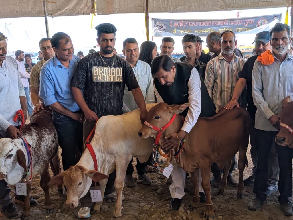 हरोली उत्सव: पशुपालन विभाग की प्रदर्शनी एवं विशेष गतिविधियों रहीं आकर्षण केंद्र