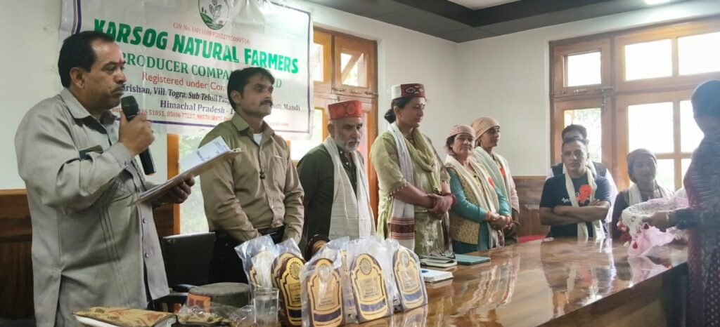 करसोग में फूड फेस्टिवल का आयोजन, मोटे अनाजों और प्राकृतिक खेती का दिया संदेश